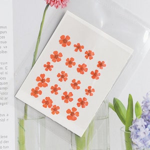 pressed flowers,orange pressed flowers,20 PCS/Pack,Small Nail Dried Flower, orange Dried flower,Small Narcissus,orange flower（0.5-0.8cm)