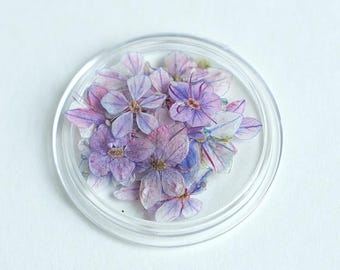 Dried Flowers for Nails, Mini Nail Flowers, Pressed Flowers for Resin, 10PCS/Pack Manicure Dried Flowers,Small dried flowers