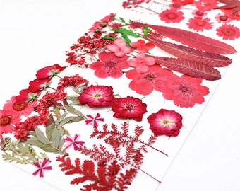 Red Pressed Flowers: Natural Dried Flower Set (16-18 PCS)