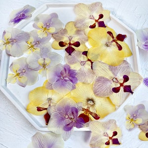 Pressed flowers,yellow pressed flowers,Butterfly Orchid, purple Butterfly Orchid dried pressed flower,Wedding Flowers Invitaion