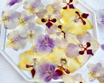 Pressed flowers,yellow pressed flowers,Butterfly Orchid, purple Butterfly Orchid dried pressed flower,Wedding Flowers Invitaion