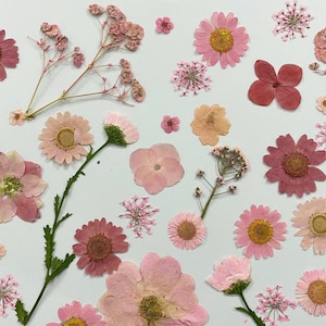 Pressed flowers,pink Pressed flowers 100 pcs,dried Pressed flowers,Mixed pink dried flower,Real Dried Pressed flowers ,dried flowers