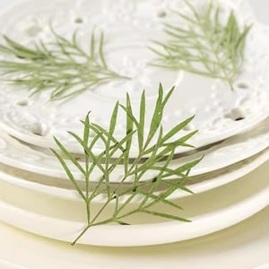 10 pezzi/set di foglie pressate vere, foglie verdi pressate, foglie verdi floreali, foglie di fiori Gesang