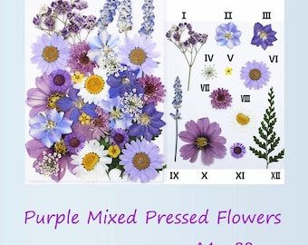 Purple Pressed Flowers: Mixed Dried Flowers for Crafts