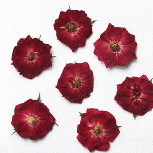 Red Rose Pressed Flowers 8 Pcs, Rose Petals Confetti Dried Flower