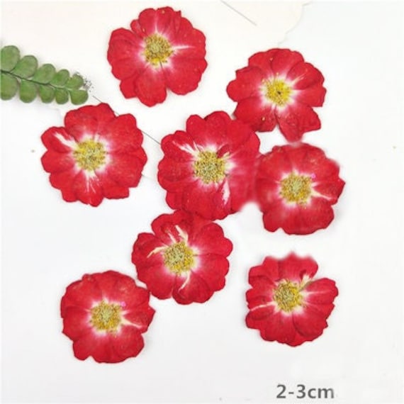 DIY How to use Epoxy Resin for Beginners - Sweet Red Poppy