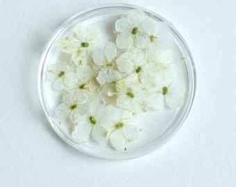 Dried Flowers for Nails, Mini Nail Flowers, Pressed Flowers for Resin, 10PCS/Pack Manicure Dried Flowers,Small dried flowers