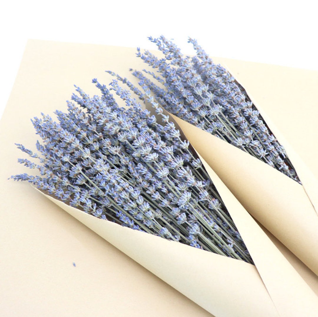 Dry Lavender Bouquet,dried Natural Lavender Bunch,dried Flowers