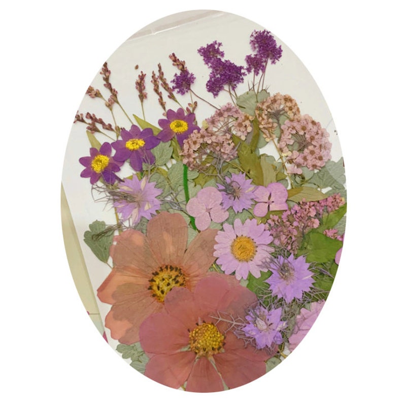 Bulk pressed flower 4550 PCS/Pack dried flat flower packsdry Etsy