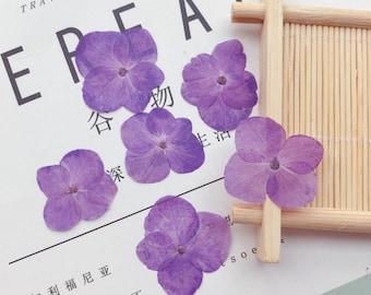 May include: Six purple dried hydrangea flowers on a white surface with text in Japanese and Chinese characters. The flowers are arranged in a semi-circle.