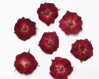 Rose Pressed flowers,A Pack of 10 PCS dried Pressed flowers,dried flower,rose Dried Pressed flowers ,Red rose Mothers Day gift