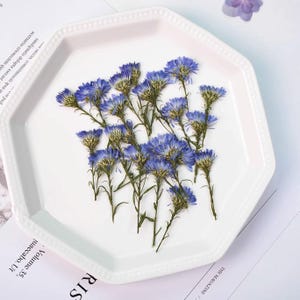 Pressed flowers,blue pressed flowers,6 PCS/Pack,purple New York aster flower,dried pressed purple Blue flower,Wedding Flowers Invitaion
