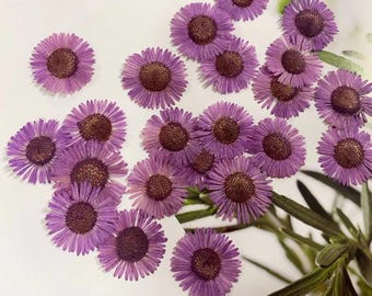 12PCS Purple Pressed Flowers: Real Dried Wildflower Petals for Resin Jewelry