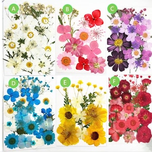 Pressed Flower Set: Mixed Flat Flowers for Resin Art Crafts