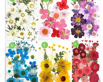 Pressed Flower Set: Mixed Flat Flowers for Resin Art Crafts