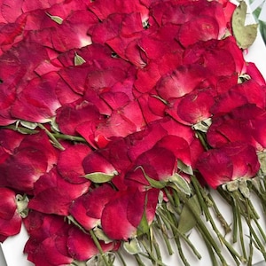 ドライ押し花、6個/パック、赤いバラのつぼみ押し花、本物のドライローズフラワーの茎小、バラのつぼみドライプリザーブドフラワーバラのつぼみ