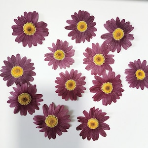 pressed flowers,Set of 8 PCS, pressed flowers art,purple dried flower,Pressed Flat Flowers,scrapbooking, art