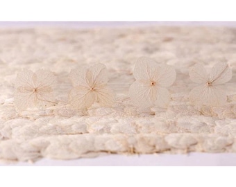 Flores secas de hortensia blanca natural - Paquete de 12 flores secas, flores prensadas