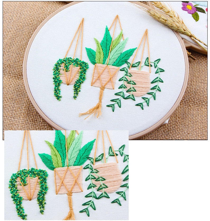Succulent Embroidery Kit For Beginner embroidery kit plants Etsy