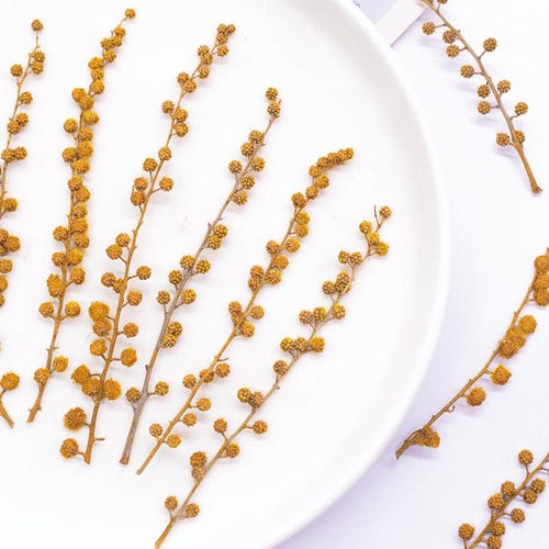 Pressed Flower,golden Pressed Flower,12 PCS/pack,Pressed golden Orange Dried Flower Stem,Real Pressed Flower Dry Natural Pressed Flowers