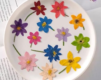 Pressed Anemone Flower Set: Embossed Botanical Specimens, Resin Crafts (8 PCS)