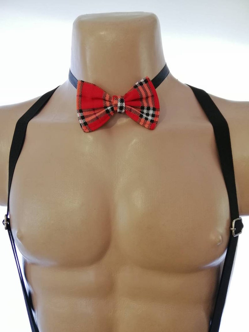 Puede incluir: Una pajarita roja y negra a cuadros con una correa ajustable negra.