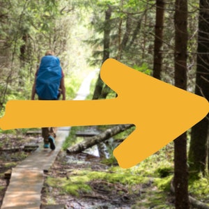 Way of St. James pijl, vinylsticker zonder achtergrond / Camino de Santiago / buen camino