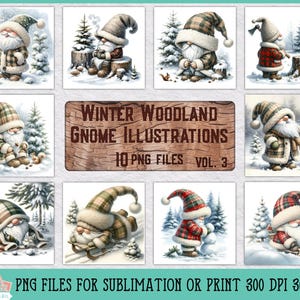 Winter boskabouter illustraties bundel voor sublimatie of print, winter clipart, kerstornament, Home decor sublimatie