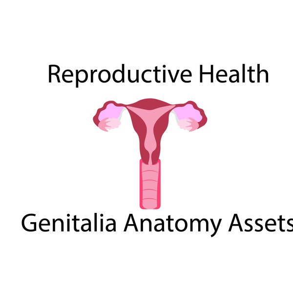 Vector Image Pack_ Anatomy and Reproductive Health