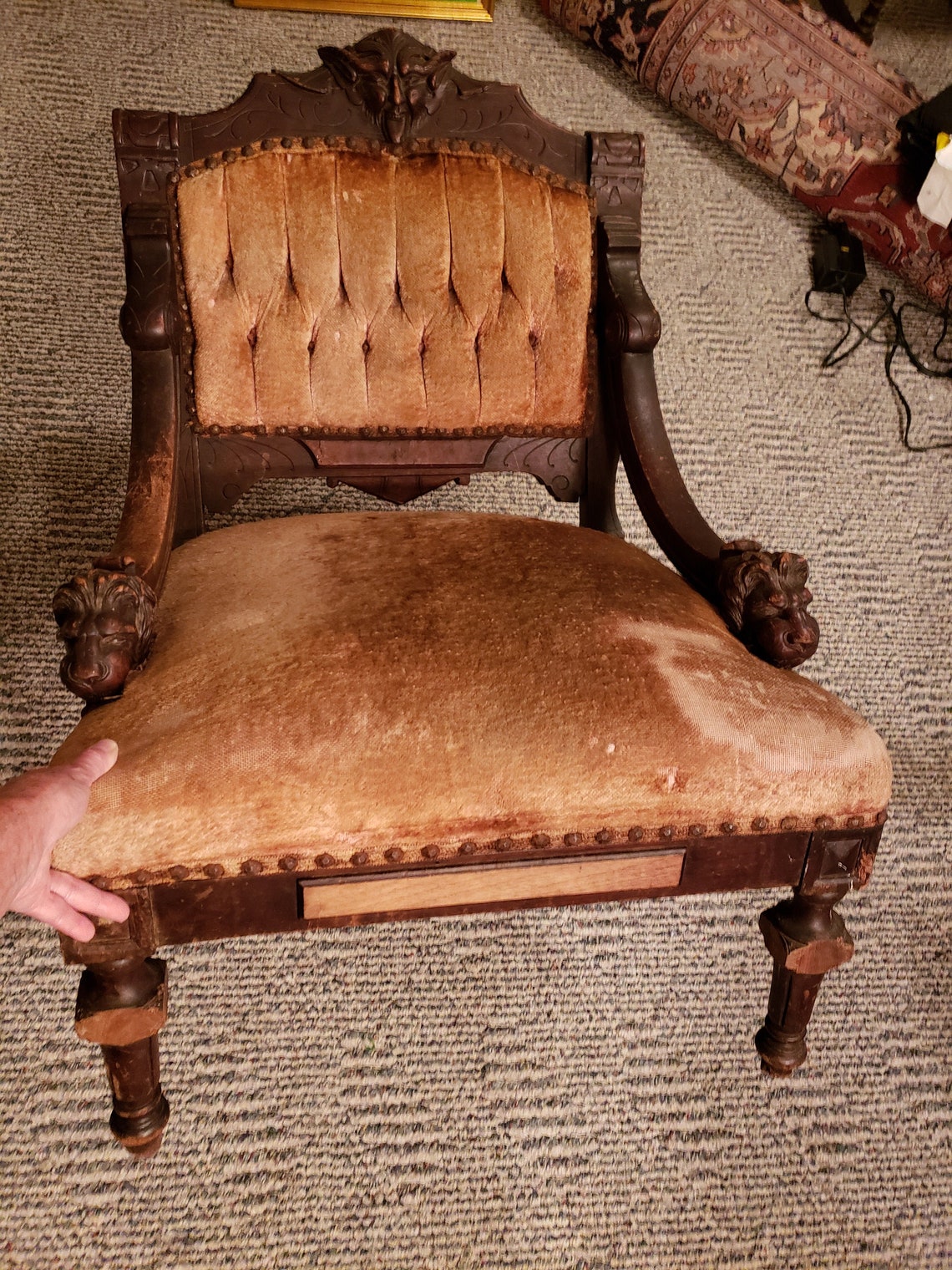 Antique Carved Griffin Face and Lion Head Arm Chair attributed Etsy