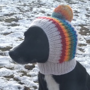 PDF編み図レインボー犬用帽子、大きなポンポン犬用帽子、中型犬用帽子、ニット犬用帽子、犬ファッション、ギフト犬、ペット愛好家ギフト、簡単な編み図