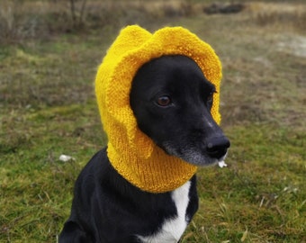 Knitted Flounced Dog Hat Pattern, Easy Pet Clothes (PDF Pattern)
