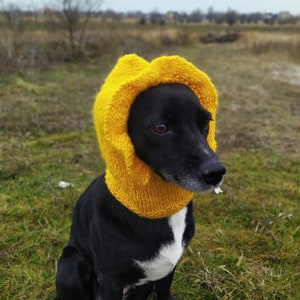 knitted dog hat/pet clothes/pattern pdf/adorable girl dog hat/flounced hat/easy knitting/dog accessories/dog fashion/gift for dog lover