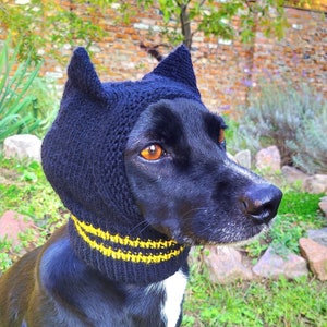 May include: A black dog wearing a black knitted hat with yellow stripes. The hat has cat ears. The dog is sitting in a grassy area.