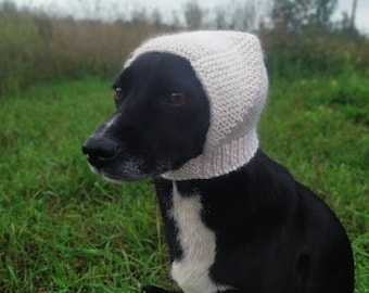 Knitted Dog Hat PDF Pattern, Small Dog Clothes