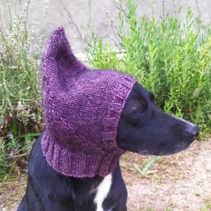 Pdf pattern Dog hats/knitted hat/Hand-knitted hat for dogs /Dog Beanie /Dog Accessorie /pointed hat for pet/knitting pattern