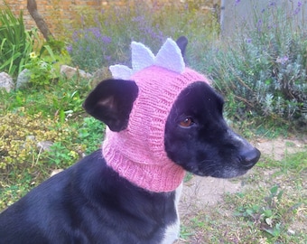 Knitted Dino Dog Hat Pattern, Pet Costume (PDF Pattern)