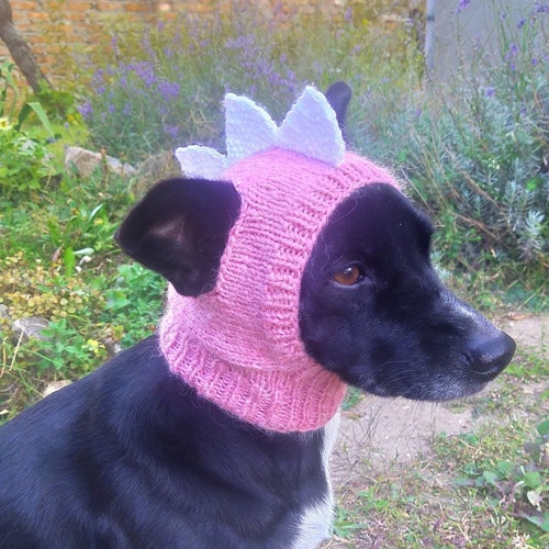 Knitting Pattern Small Dog Hat Dachshund Hat Mini Dachshund Etsy Canada