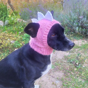 Gestrickte Dino Hundemütze, Haustierkostüm (PDF-Muster)