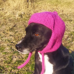 Pdf knitting pattern Dog hats,for dog hat earflap/warm ears/winter hat/Small Dog Hat,Knitted Dog Hat,Dog Fashion,Lover Gift/knitting pattern