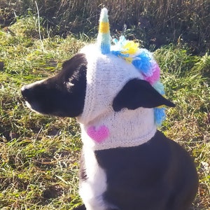 Könnte beinhalten: Ein schwarz-weißer Hund trägt eine weiße gestrickte Einhornmütze mit einem rosa Herz auf der Vorderseite. Die Mütze hat ein regenbogenfarbenes Horn und eine Mähne.