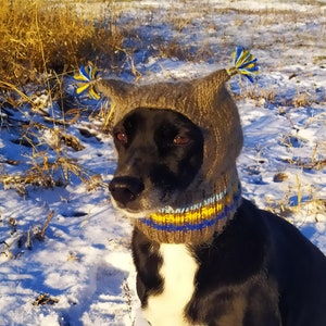 Pdf knitting pattern two tassels Dog hat,warm pets ears,medium Dog Hat,Knitted Dog Hat,Dog Fashion,Gift dog,Pet Lover Gift,easy knitting pat