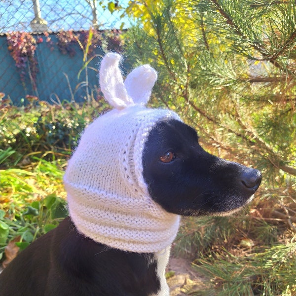 Pdf pattern Dog hats/Bunny dog hat/Knit pets Hats/The ear is warmer/winter dog beanie/cat hat/Rabbit hat for dogs/easter costume/PDF pattern