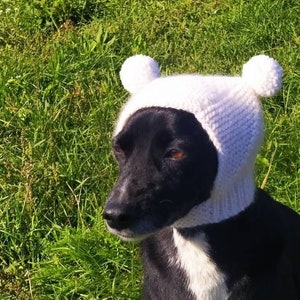 Pdf knitting pattern Dog hats snap-on,pompoms Dog Hat,Small Dog Hat,Knitted Dog Hat,Dog Clothes,Dog Fashion,Gift dog,Pet Lover Gift, pattern