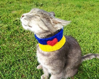 Ukrainian Cat Photo, Animals for Peace, Blue Yellow Collar (Digital Download)