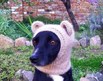 Dog hat /Pdf pattern/with pom pom and bear ears/Hand-knitted hat for dogs/Dog Beanie /Dog Accessories/dog fashion/gift for dog lover/pattern