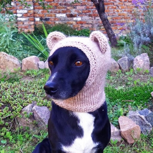 Dog hat /Pdf pattern/with pom pom and bear ears/Hand-knitted hat for dogs/Dog Beanie /Dog Accessories/dog fashion/gift for dog lover/pattern