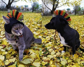 Hand-Knitted Mohawk Pet Hat – Colorful Comic Outfit