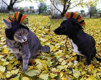 Hats for dogs/hat for a cat/hat - mohawk/comic outfit for a dog/hand knitting/multicolor bright mohawk/accessories for dogs and cat/knitwear