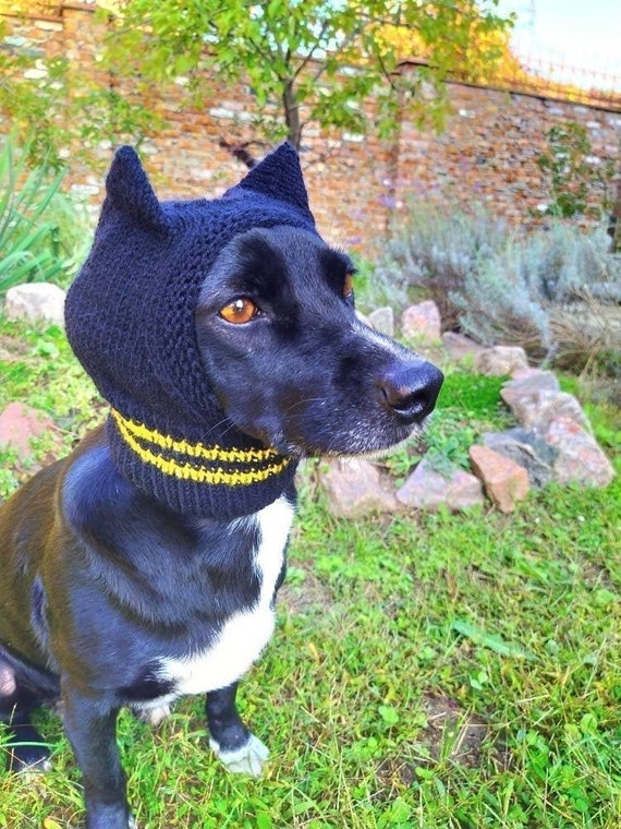 Dog hats/knitted hat/black Dog hat /Handknitted hat for dogs Etsy